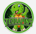 CARTOON TERRAPINS MAGNET