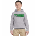 TERRAPINS GRAY HOODIE