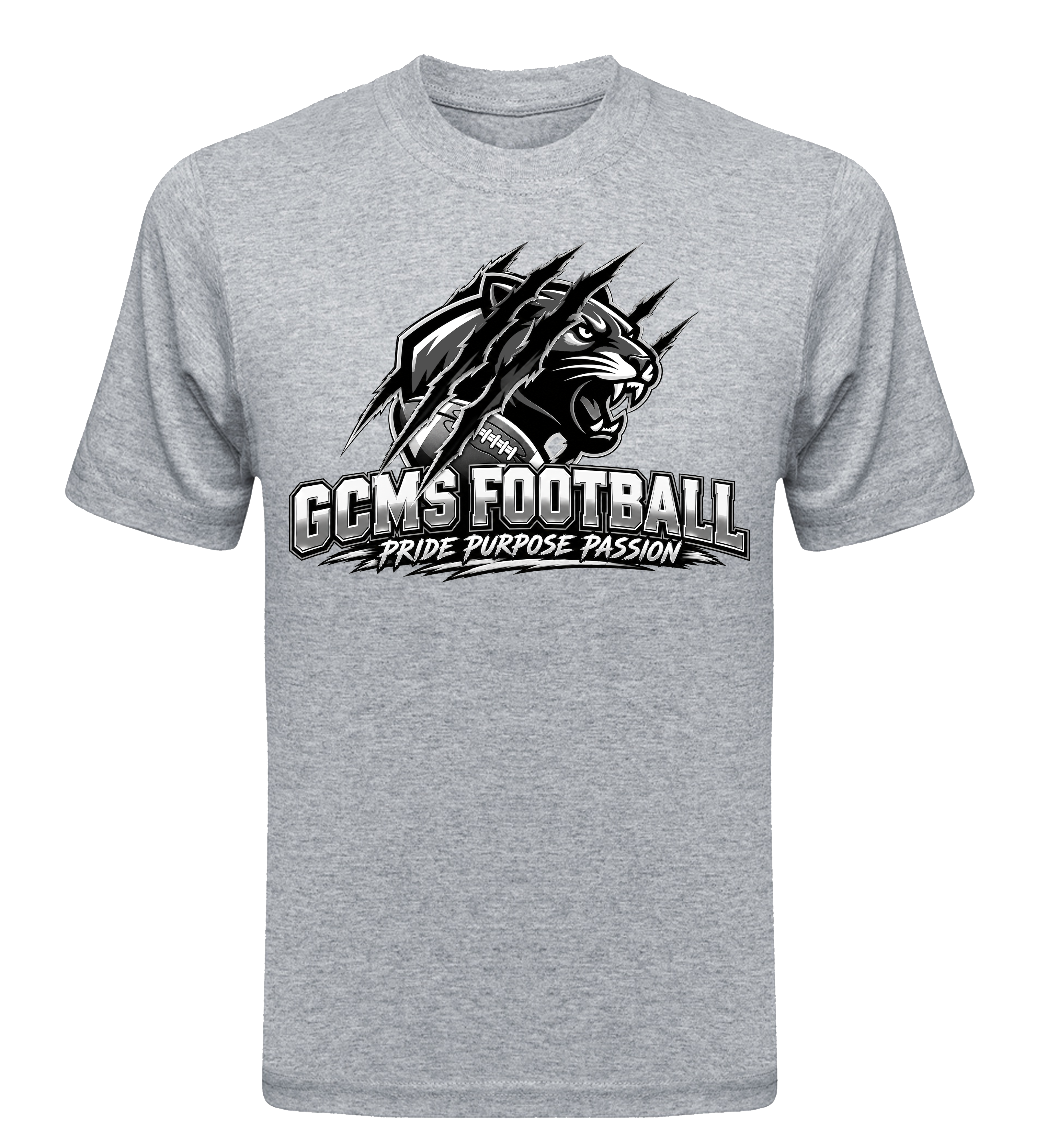 PPP FOOTBAL GRAY
