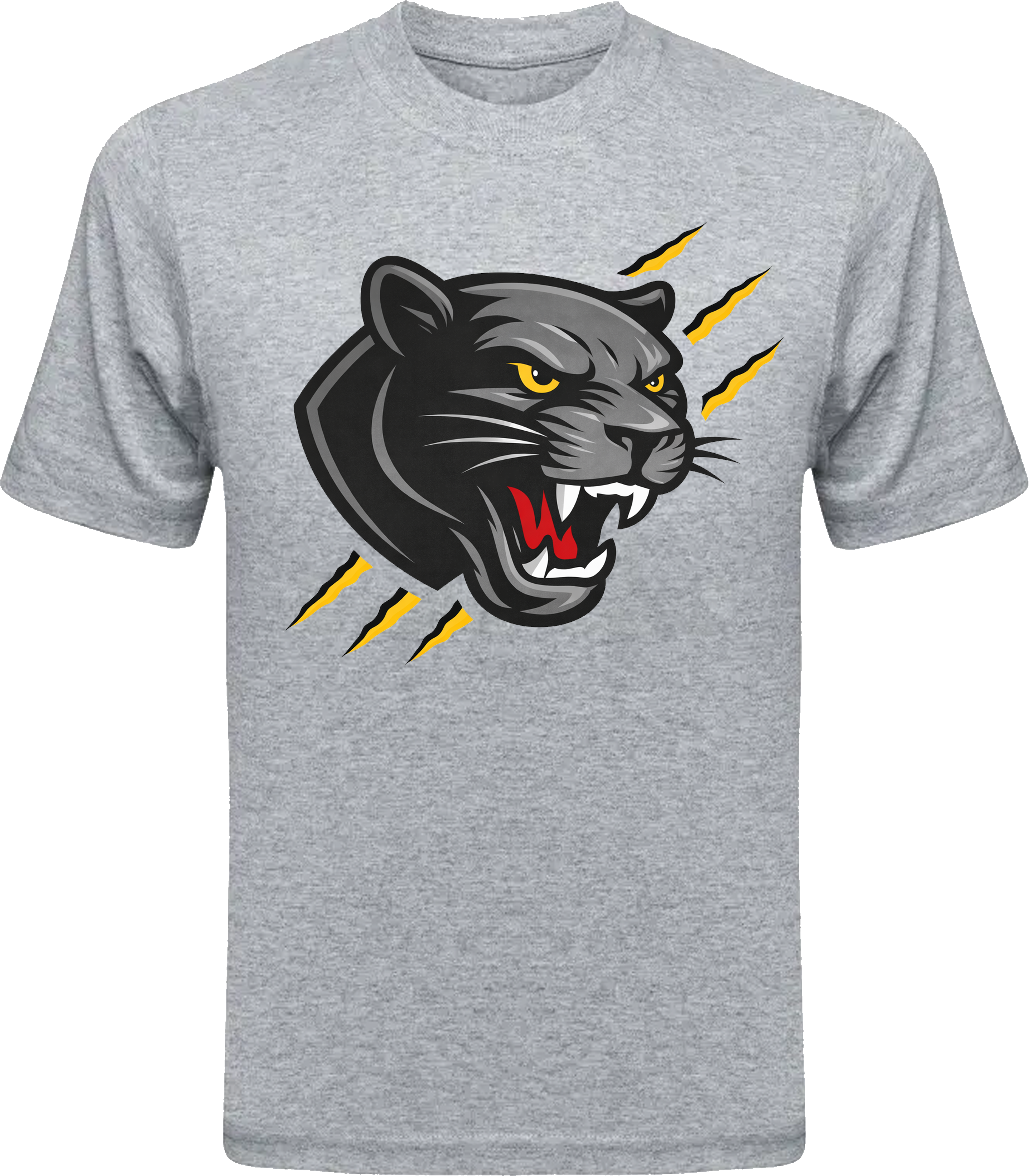 Panther face